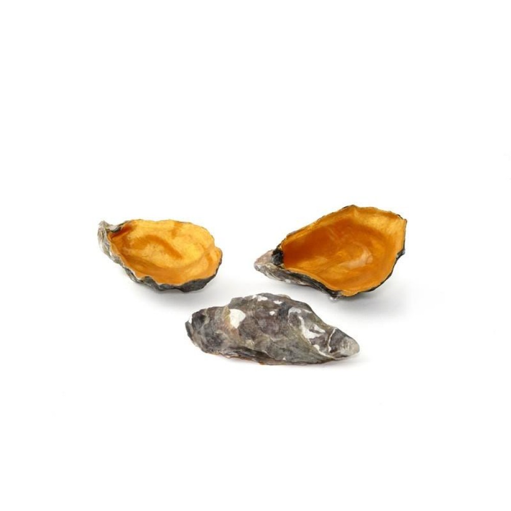 Oyster Gold 3pcs 100%Chef