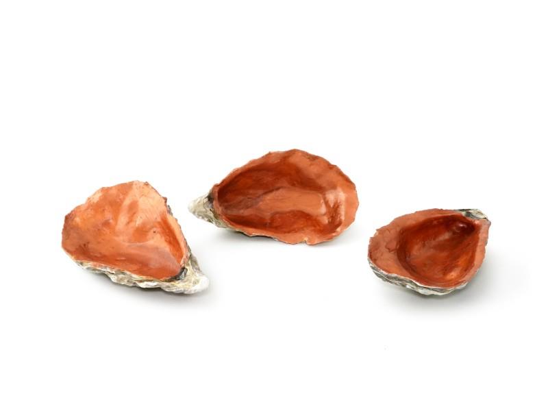 Oyster Copper 3pcs 100%Chef